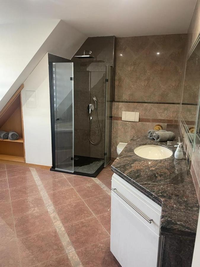 Bobenheim-Roxheim Luxurioese Wohnung Im Herzen Von Rlp מראה חיצוני תמונה